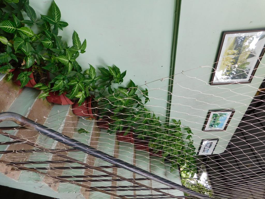 Green Woods Bethlehem Kochi Zewnętrze zdjęcie